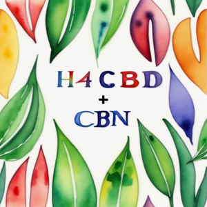 H4CBD+CBN